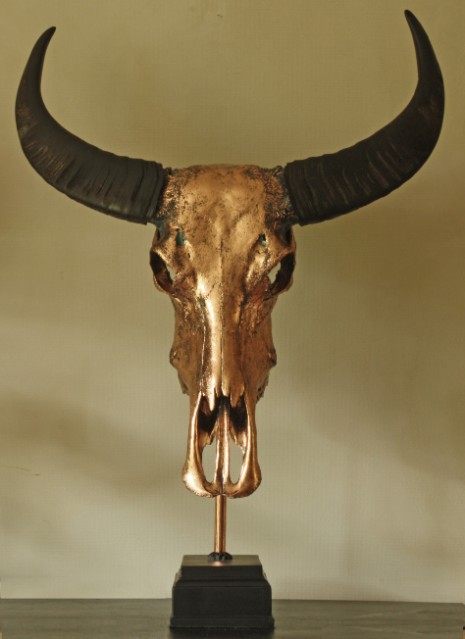 Bijzondere hoogwaardige gemetalliseerde (roze goud) schedel van een waterbuffel