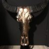Special high-grade metallized (pink gold) skull of a water buffalo