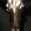 Special high-grade metallized (pink gold) skull of a water buffalo