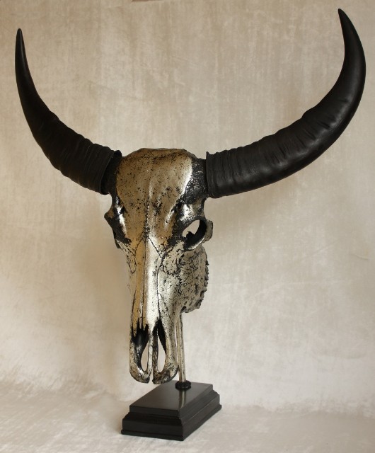 Special high-grade metallized (tin) skull of a water buffalo