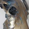 Special high-quality metallized skull of a water buffalo