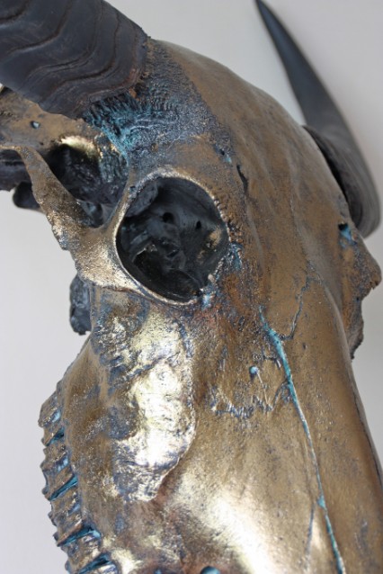 Special high-quality metallized skull of a water buffalo