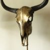 Special high-quality metallized (bronze) skull of a yakl