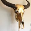 Bijzondere hoogwaardige gemetalliseerde (goud) schedel van een waterbuffel