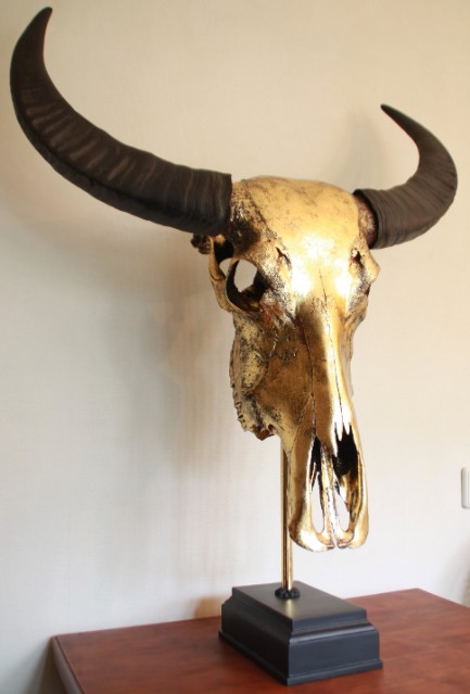 Special high-quality metallized (gold) skull of a water buffalo