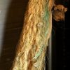 Zeer unieke opgezette pauw op schommel