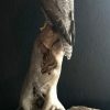 Stuffed gyrfalcon