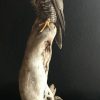 Stuffed gyrfalcon