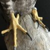 Stuffed gyrfalcon