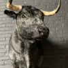 Stuffed head of a dark gray Spanish fighting bull