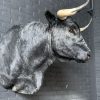 Stuffed head of a dark gray Spanish fighting bull