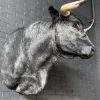 Stuffed head of a dark gray Spanish fighting bull