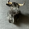 Stuffed head of a dark gray Spanish fighting bull