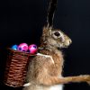 Taxidermy Easter bunny