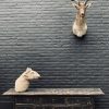 Taxidermy head of a fallow deer.