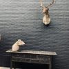 Taxidermy head of a fallow deer