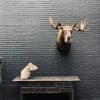 Taxidermy head of a Scandinavian moose