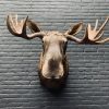 Taxidermy head of a Scandinavian moose