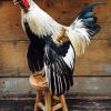 Taxidermy life like rooster.