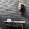 Taxidermy Kopf  ein Moschusochse