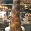 Unique and colossal stuffed head of a giraffe on a pedestal