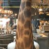 Unieke en kolossale opgezette kop van een giraffe op een pedestal