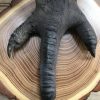 Unique lamps made of ostrich paws.