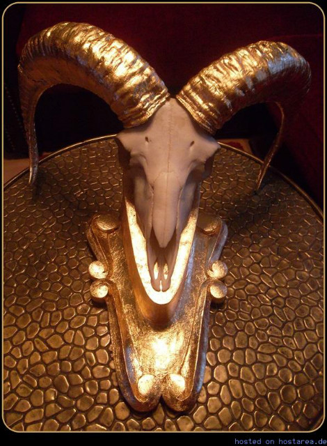 Very exclusive golden skull of a mouflon