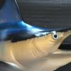 Sehr eindrucksvolle Replik eines blauen Marlins