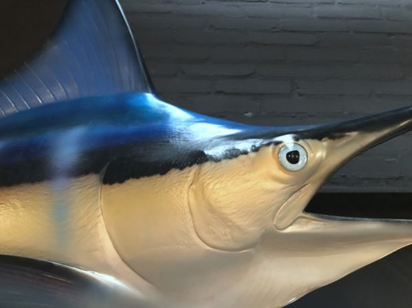 Sehr eindrucksvolle Replik eines blauen Marlins
