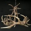 Very nice antler chandelier made from red stag antlers.