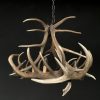Antler lamp of deer antlers