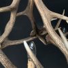 Very nice antler chandelier made from red stag antlers.