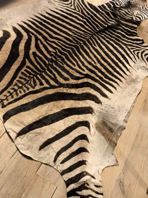 Very nice tanned zebra skin