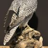 Very unique stuffed gyrfalcon