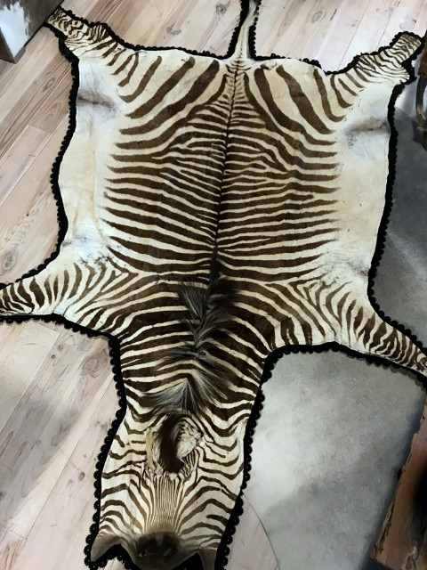Vintage zebra hide