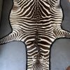 Vintage zebraskin with velvet layer