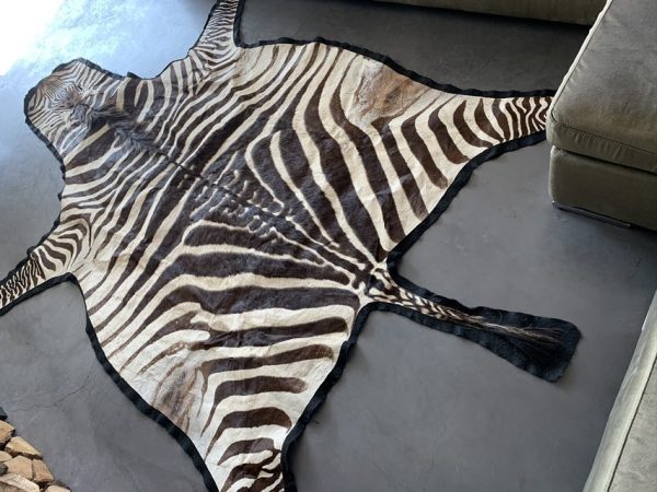 Vintage zebraskin with velvet layer