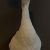VO 261, Stuffed head of a Coscoroba swan
