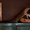 Stylish taxidermy white swan