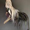 Beautiful taxidermy Onagadorie rooster