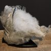 Taxidermy half chicken