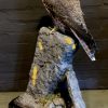 VO 550-H, Recently made taxidermy Saker Falcon