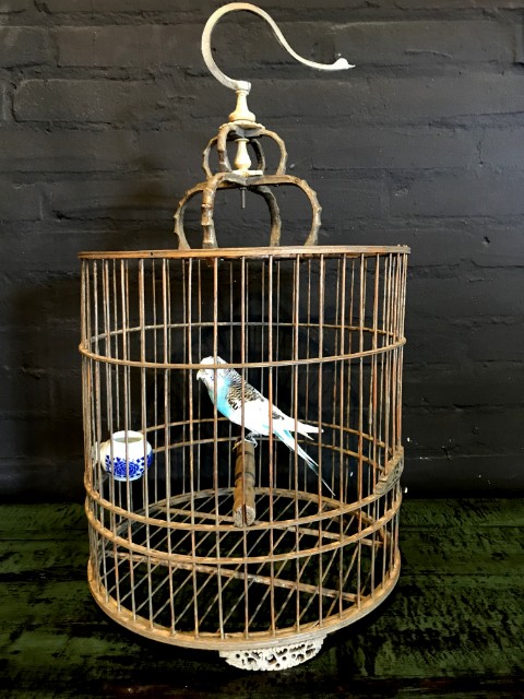 VO 570-A, Parakeet in wooden cage