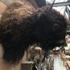 Wall mounted bison head