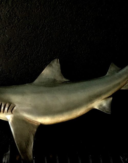 Wonderful faithful replica of a shark