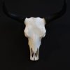 Yak skulls