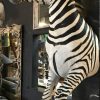 Zebra half mount