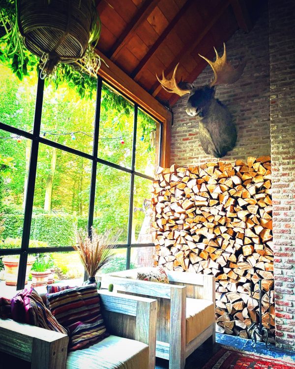 Eland in tuinkamer