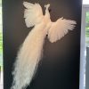 Opgezette witte pauw